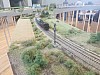 IMG_20240511_170345